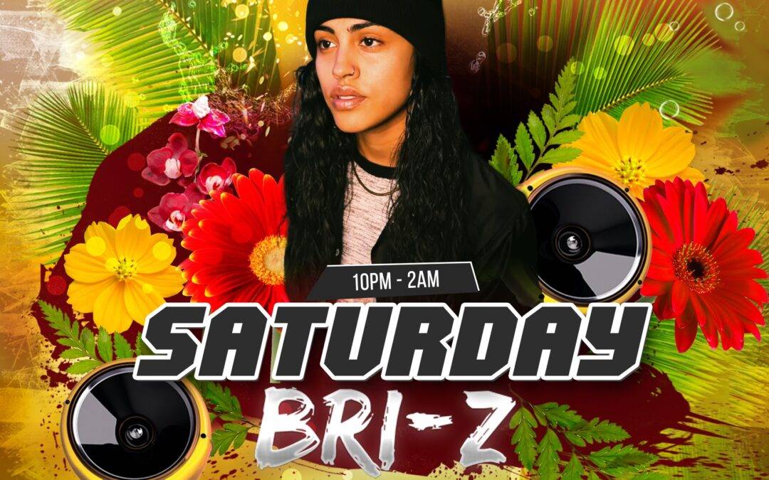 SAT APR 6: DJ Souljah featuring DJ Bri-Z